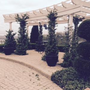 Photo of Outdoor Solutions Landscaping