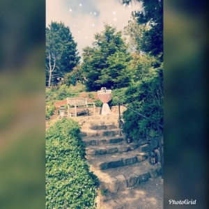 Photo of Dipsea Gardens
