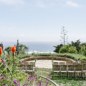 Photo of Dipsea Gardens