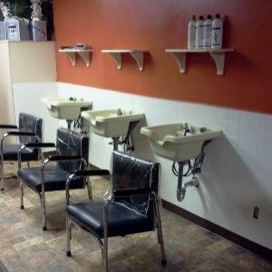 Photo of alfa omega services