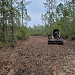 Photo of J&M Forestry Mulching