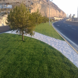 Photo of Real Turf