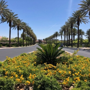 Photo of Enpark Landscape