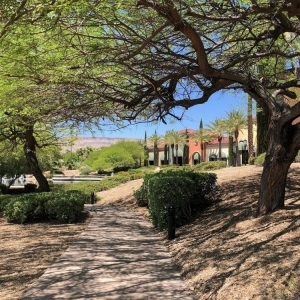 Photo of Enpark Landscape