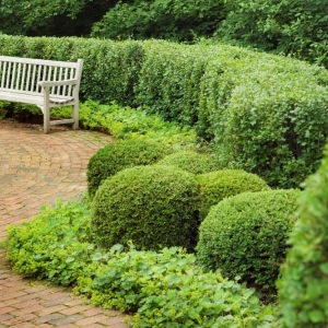Photo of HARRIS Landscape Architecture