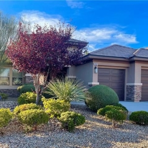Photo of Nathan Petrosian, Realtor - Realty ONE Group
