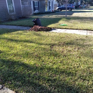 Photo of Rio Verde Lawn Care & Mowing Services