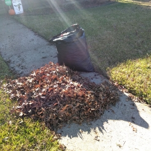 Photo of Rio Verde Lawn Care & Mowing Services