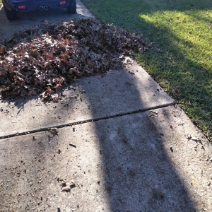 Photo of Rio Verde Lawn Care & Mowing Services