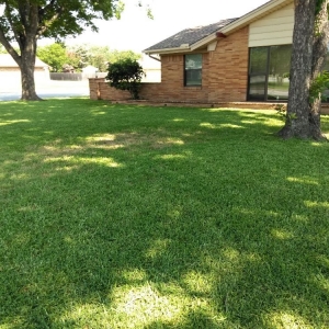 Photo of Rio Verde Lawn Care & Mowing Services