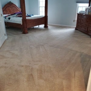 Photo of Renaissance Carpet Cleaners