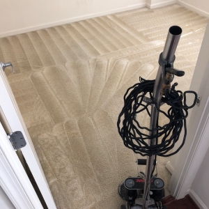 Photo of Renaissance Carpet Cleaners