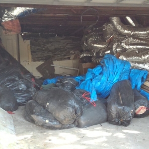 Photo of Texas Removal Services