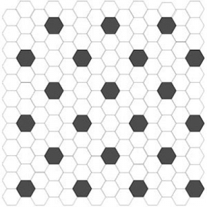 Photo of Dollar Tile