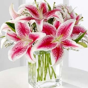 Photo of San Diego Rose Company