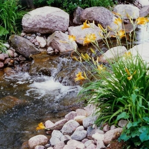 Photo of Skyline Design and Landscape