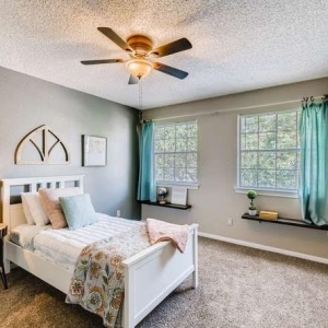 Photo of The Spotted Shelf Staging & Design