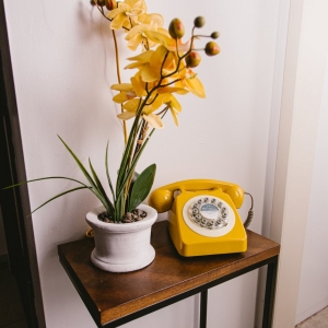 Photo of Dill - Creative Community Space
