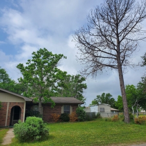 Photo of Barrios Bro's Landscaping