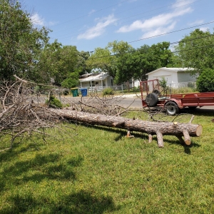 Photo of Barrios Bro's Landscaping