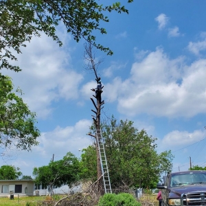Photo of Barrios Bro's Landscaping