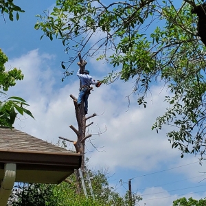Photo of Barrios Bro's Landscaping