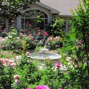 Photo of Magic Gardens Landscaping