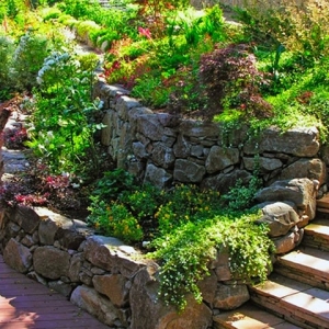 Photo of Magic Gardens Landscaping