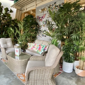 Photo of Armstrong Garden Centers