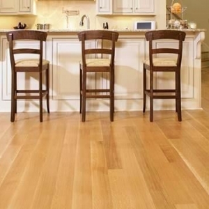 Photo of Forest To Floor
