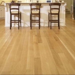 Photo of Forest To Floor