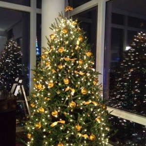 Photo of Tyler's Trees Charlotte