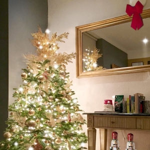 Photo of Tyler's Trees Charlotte