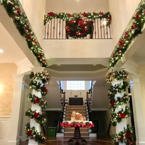 Photo of Home & Holiday Designs