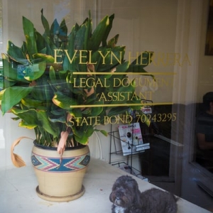 Photo of Herrera Escobar Services