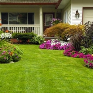 Photo of Two Brothers Lawn Care