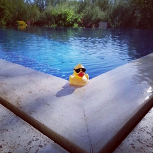 Glendale Carefree Oasis Pools & Spas