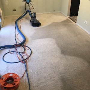 Photo of Nature's Way Carpet Cleaning