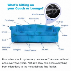 Photo of Nature's Way Carpet Cleaning