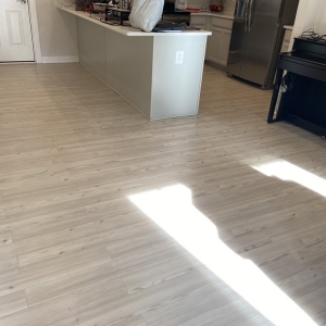 Photo of Edibill Services & Carpet Care