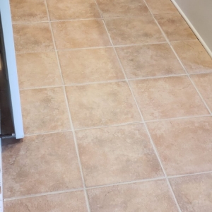 Photo of Edibill Services & Carpet Care