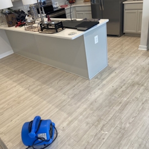 Photo of Edibill Services & Carpet Care