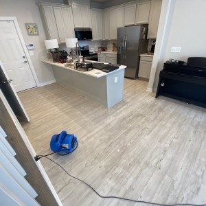 Photo of Edibill Services & Carpet Care