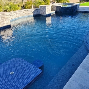 Photo of Chandler Pool Service Pro
