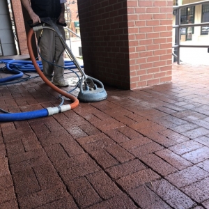 Photo of Five Step Carpet Care