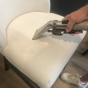 Photo of Five Step Carpet Care