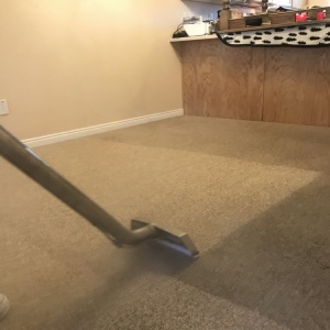 Photo of Five Step Carpet Care