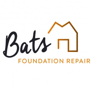Photo of Bats Foundation Repair