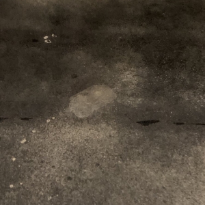 Photo of Sleek Floors