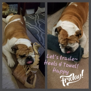 Photo of Bulldog Billing